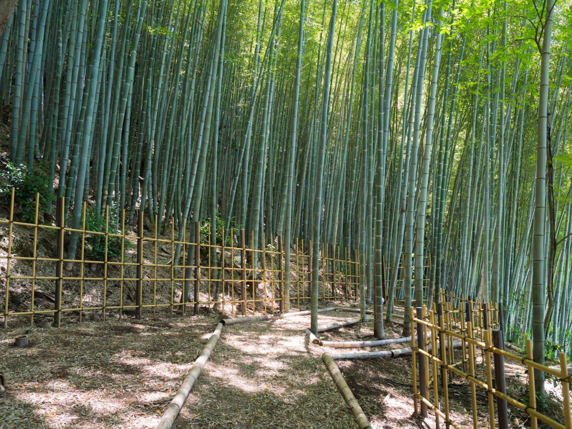 Banyan Tree Higashiyama Kyoto Hotel Eksteriør billede